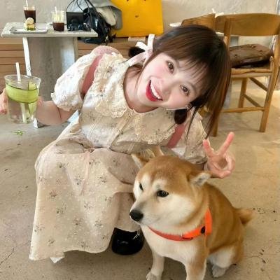 花圃里的蝴蝶